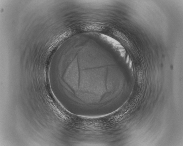 X0000087020729200705071509