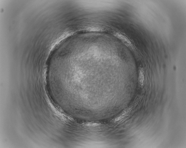 X0000087020730200705071509