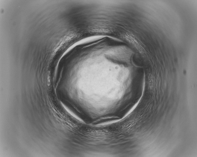 X0000087020731200705071509