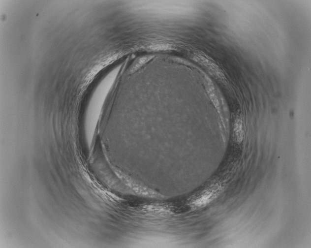 X0000087020732200705071509