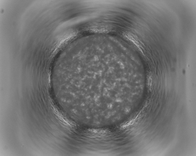 X0000087020733200705071509