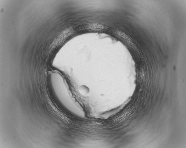 X0000087020734200705071509