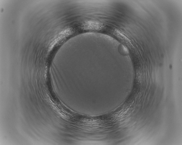 X0000087020735200705071509