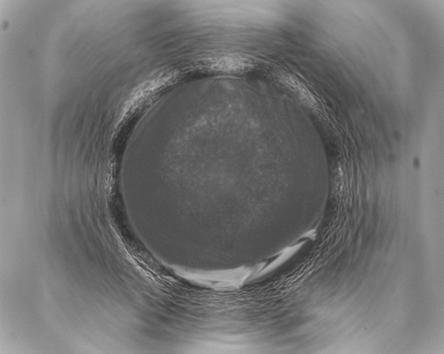 X0000087020736200705071509