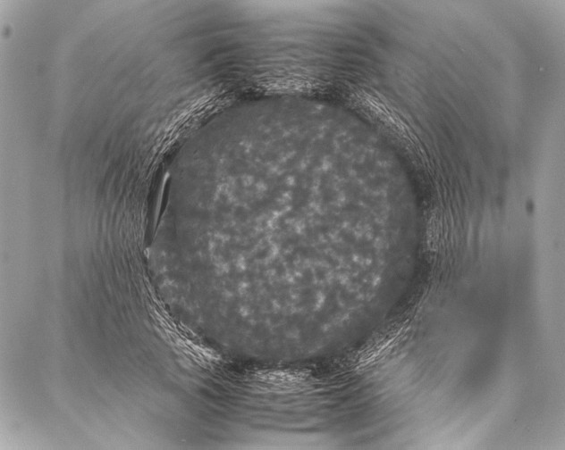 X0000087020737200705071509