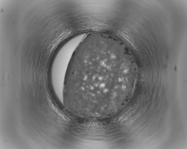 X0000087020738200705071509