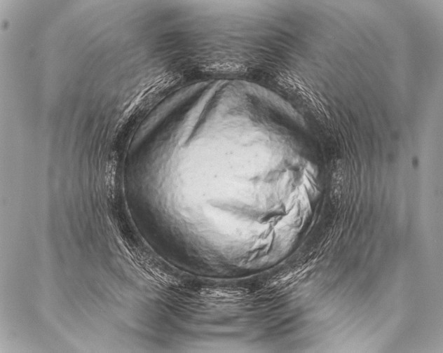 X0000087020739200705071509