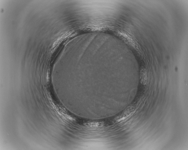 X0000087020740200705071509