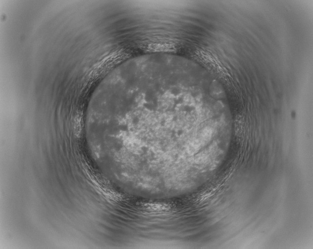 X0000087020741200705071509