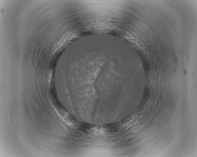 X0000087020742200705071509