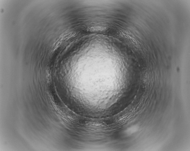 X0000087020743200705071509