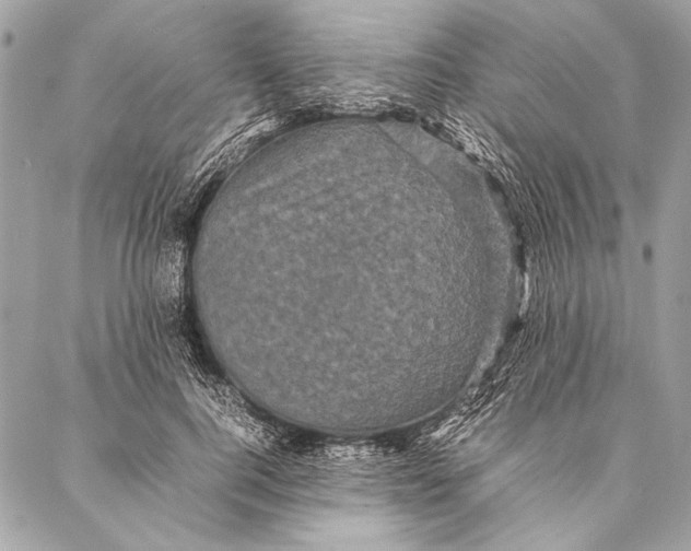 X0000087020744200705071509