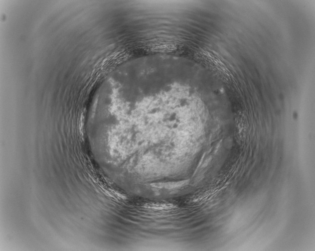 X0000087020745200705071509