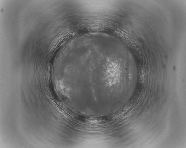 X0000087020746200705071509