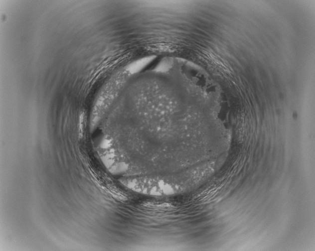 X0000087020747200705071509