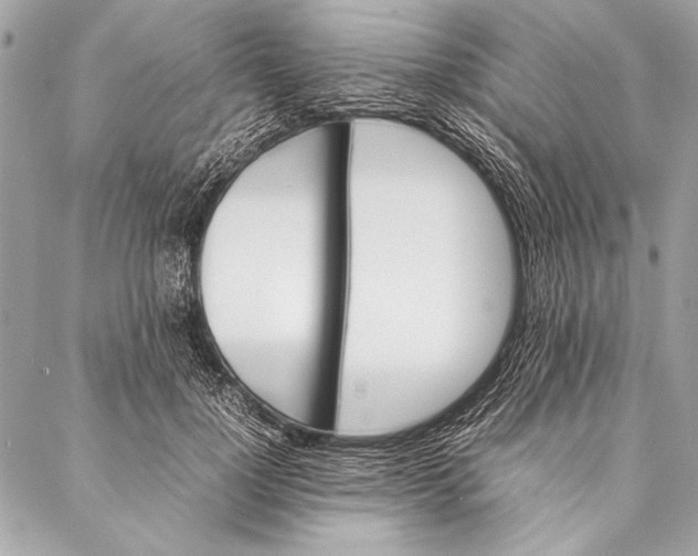 X0000087020748200705071509