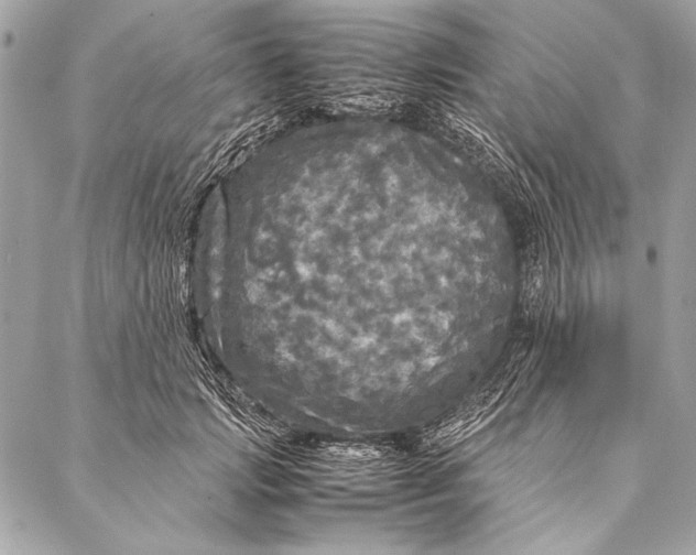 X0000087020749200705071509