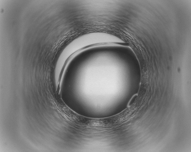 X0000087020750200705071509