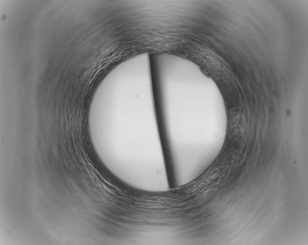 X0000087020752200705071509