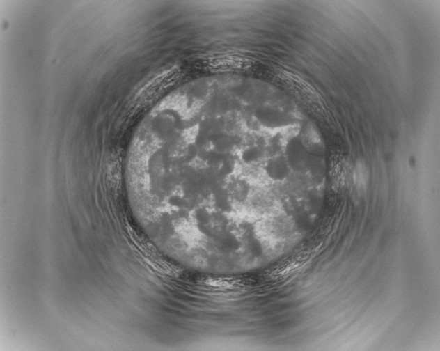 X0000087020753200705071509