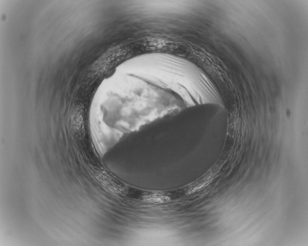 X0000087020754200705071509