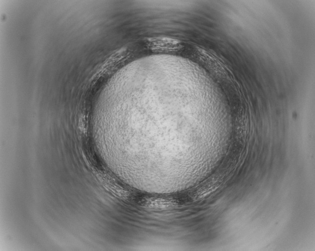 X0000087020755200705071509