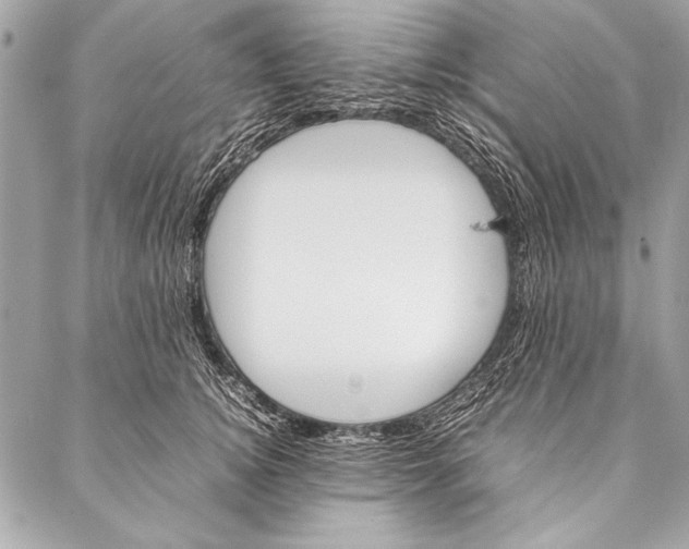 X0000087020756200705071509