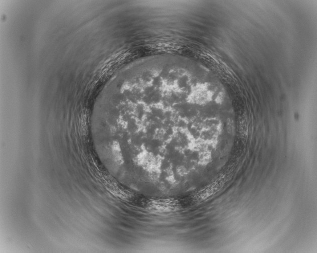 X0000087020757200705071509