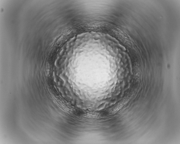 X0000087020758200705071509