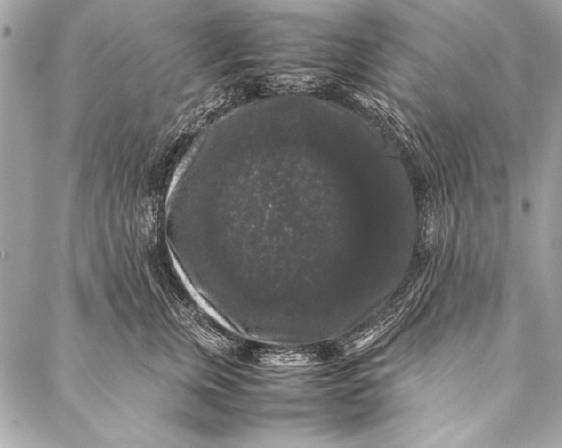 X0000087020759200705071509