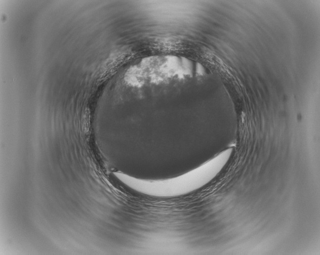 X0000087020760200705071509