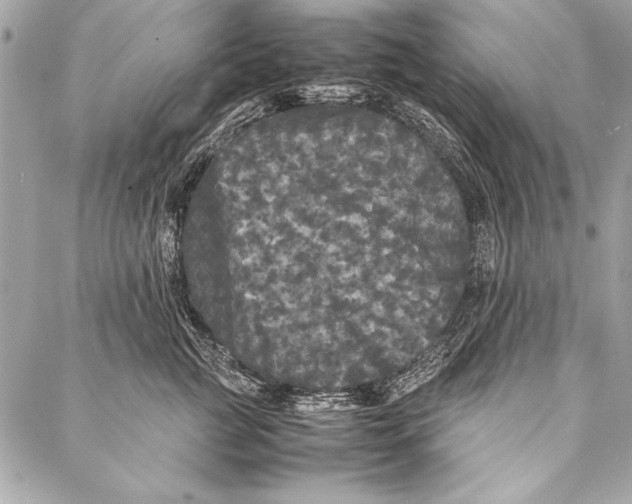 X0000087020761200705071509