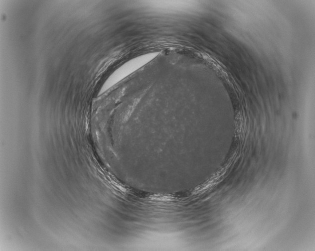 X0000087020762200705071509