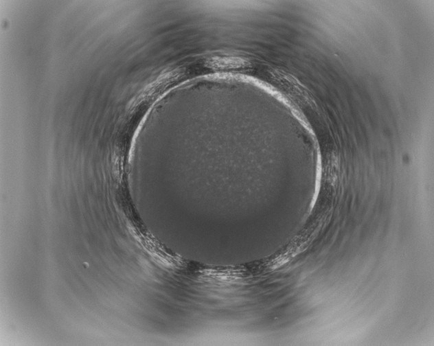 X0000087020763200705071509