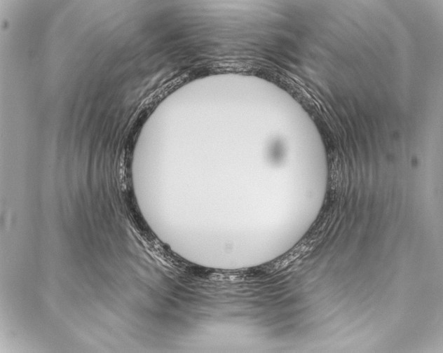 X0000087020764200705071509