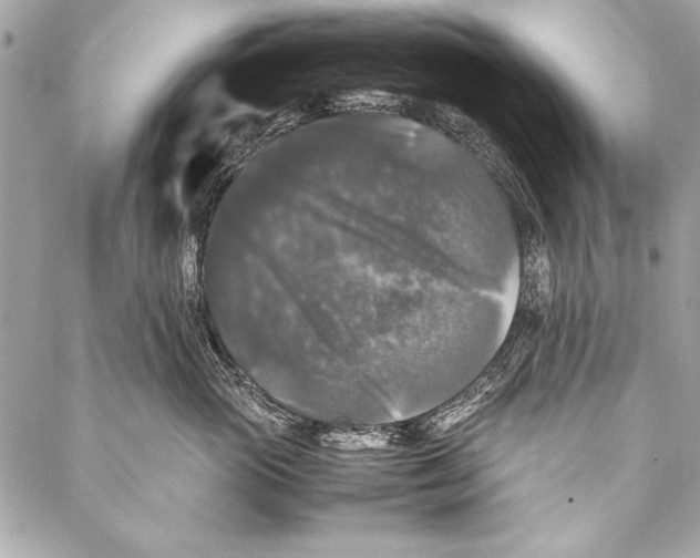 X0000087020765200705071509