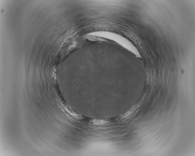 X0000087020766200705071509