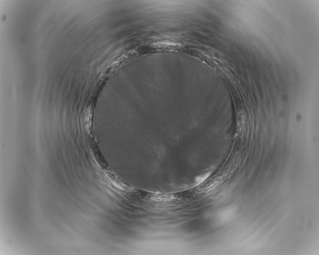 X0000087020767200705071509