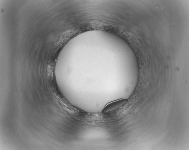 X0000087020768200705071509