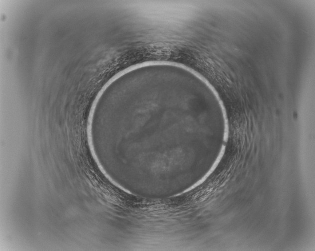 X0000087020769200705071509