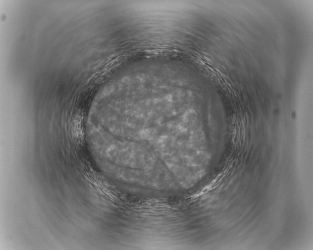 X0000087020770200705071509