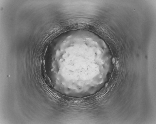 X0000087020771200705071509