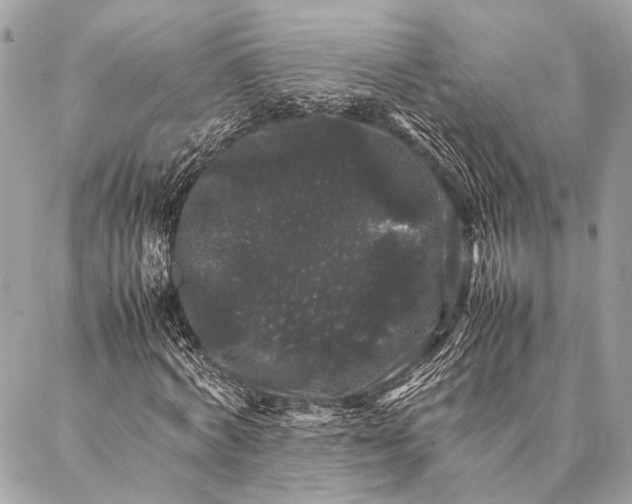 X0000087020772200705071509