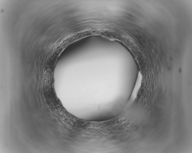 X0000087020773200705071509