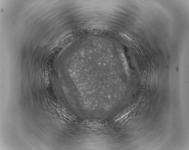 X0000087020774200705071509