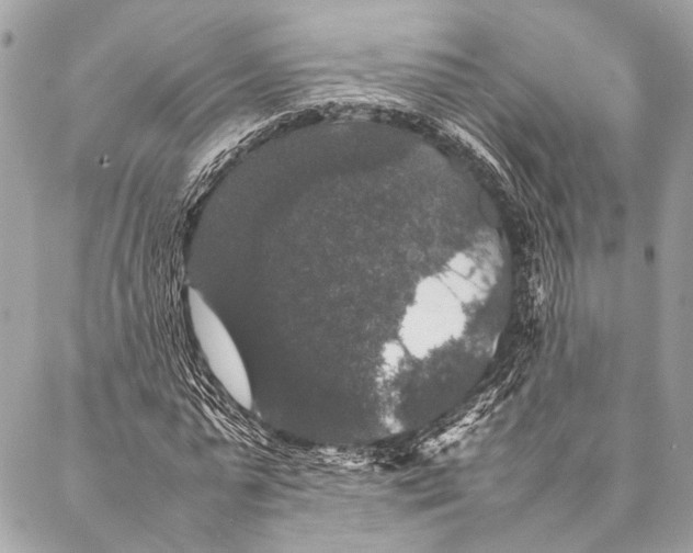 X0000087020775200705071509