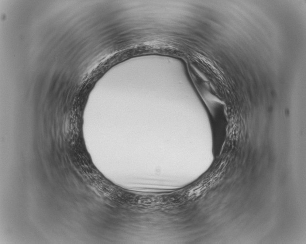 X0000087020776200705071509