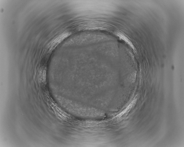 X0000087020777200705071508