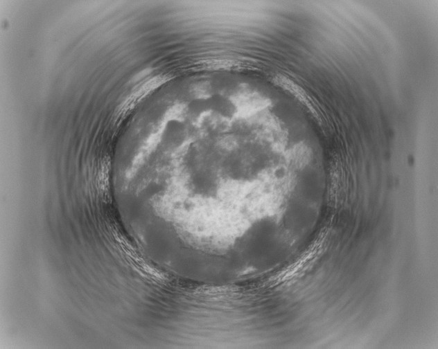 X0000087020778200705071508