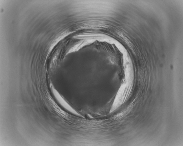 X0000087020779200705071508